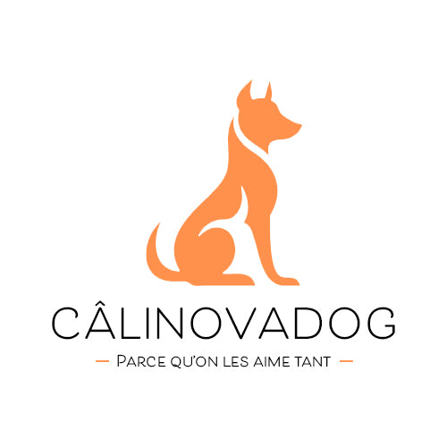 CâlinovaDog